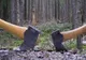 Tânăr din Argeș, în arest la domiciliu pentru tăiere ilegală și furt de arbori