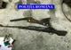 Bărbat reținut după ce polițiștii au găsit la locuința sa două arme deținute ilegal