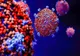 Argeș: 275 cazuri de coronavirus!