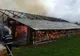 Încarcerat după ce a incendiat un saivan și doi câini