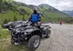 Hrănea o ursoaică pe Transfăgărăşan, fiind amendat de jandarmi