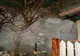 Incendiu la această oră la un depozit de iarbă din Mălureni, Bădiceni