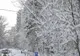 Ninsori viscolite. Trafic oprit