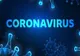 Bilanț coronavirus 19 noiembrie: numărul de cazuri noi, în scădere. Câte decese au fost anunțate oficial