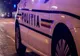 Argeş: Piteon accidentat mortal, la Poiana Lacului