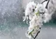 Meteo| Astăzi vremea se schimbă față de ziua anterioară