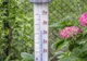 Temperaturi ridicate în toate zonele din țară