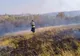 Incendiu noaptea trecută într- o pădure din Argeș.În pădure a fost găsit și un autoturism distrus  