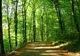 GUVERNUL A ADOPTAT STRATEGIA NAȚIONALĂ PRIVIND APĂRAREA LA SCHIMBĂRILE CLIMATICE