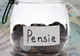 Veste uriașă pentru românii pensionați în Italia și care primesc banii în țară