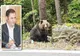 SCANDALUL URȘILOR DIN ZONA AREFU
