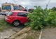 ACCIDENT RUTIER ȘI INTERVENȚII DE URGENȚĂ ÎN ARGEȘ