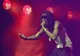 Festivalul „Beach, Please!” de la Costinești: Incidentul cu Wiz Khalifa