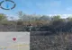 ACȚIUNE DE STINGERE A ȘASE INCENDII ÎN ARGEȘ