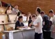 CONTESTAȚII REZOLVATE CU POLIȚIA LA EXAMENUL DE ADMITERE PENTRU FACULTATEA DE ARHITECTURĂ DIN BUCUREȘTI