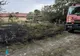 INCENDII ÎN ARGEȘ: Vegetație uscată mistuită de flăcări în cinci locuri diferite