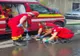 PISICI SALVATE DE POMPIERII DIN BRAȘOV