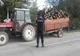 ACTIVITATE INTENSĂ A POLIȚIȘTILOR DIN ARGEȘ ÎN DOMENIUL SILVIC: 575 DE CONTROALE ȘI CONFISCĂRI ÎN PRIMELE 6 LUNI ALE ANULUI