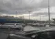 TRAFFICUL BLOCAT ÎN PITEȘTI DIN CAUZA AGLOMERAȚIEI