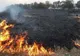 INCENDII ÎN ARGEȘ: Pompierii au intervenit la cinci incendii care au afectat o suprafață de 16.200 mp