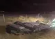 ACCIDENT ÎN COMUNA OARJA: MAȘINĂ RĂSTURNATĂ PE AUTOSTRADA A1