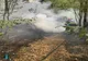 INCENDIU LA AUTOTURISM ÎN COMUNA HÂRTIEȘTI
