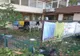 ACȚIUNI DE CONTROL ÎN PITEȘTI PRIVIND MEDIUL ȘI ACTIVITĂȚILE COMERCIALE
