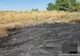 INCENDII NECONTROLATE ÎN ROMÂNIA: APROAPE UN HECTAR DE TEREN DISTRUS