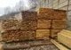 DEZVĂLUIRI ȘOCANTE: Sancțiuni pentru O Societate Comercială din Argeș