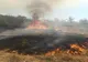 INCENDII DEVASTATOARE ÎN VEGETAȚIA USCATĂ DIN ROMÂNIA