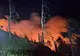 INCENDIU ÎNTR-O PĂDURE DIN SĂTIC, ARGEȘ
