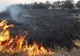 INTERVENȚIE DE URGENȚĂ A POMPIERILOR ARGEȘENI PENTRU STINGERA INCENDIILOR DE VEGETAȚIE