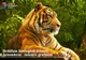 INTRAREA GRATUITĂ LA ZOO PITEȘTI VINERI, 4 OCTOMBRIE