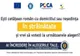 MODALITĂȚI DE VOT PENTRU ROMÂNII DIN STRĂINĂTATE