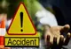 ACCIDENT RUTIER CU VICTIMĂ ÎN STÂLPENI: BĂRBAT DECEDAT DUPĂ COLIZIUNE ȘI RICOȘARE ÎNTR-UN CAP DE POD