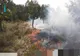 INCENDII DE VEGETAȚIE ÎN ARGEȘ: POMPIERII INTERVENIND PENTRU STINGERE