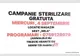 ASOCIAȚIA TIERHILFE HOFFNUNG ORGANIZEAZĂ O CAMPANIE DE STERILIZARE ȘI MICROCIPARE GRATUITĂ ÎN COCU