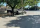 VEHICUL TRAS DE ANIMALE, OPRIT ÎN MUNICIPIUL PITEȘTI