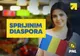 ROMÂNII DIN DIASPORĂ VOR AVEA BENEFICII DATORITĂ UNUI NOU PROIECT DE LEGE