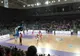 FC ARGEȘ BASKETBALL ÎNVINSĂ DE CSM ORADEA ÎNTR-UN MECI INCENDIAR