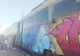 PROBLEME CU TRANSPORTUL FEROVIAR ÎNTRE PITEȘTI ȘI BUCUREȘTI