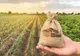 CUM AR FI PUTUT FI FĂCUTĂ O ECONOMIE DE 210 MILIOANE DE EURO PENTRU FERMIERI