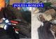 Percheziții la hoți care au devastat o balastieră! Vindeau componentele la fier vechi