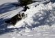 Unitățile canine de avalanșă, stagiu național în Argeș