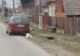 Federația pentru Protecția Animalelor: „Este neverosimilă povestea”