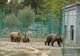 Intrare gratuită la Grădina Zoologică din Pitești