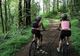 Piste de biciclete și alei pietonale prin Pădurea Trivale