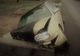 Accident produs de un șofer beat, la Schitu Golești! O persoană în stare gravă