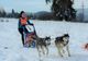 Concurs de atelaje canine, în weekend, la Borsec