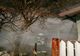 Incendiu la această oră la un depozit de iarbă din Mălureni, Bădiceni